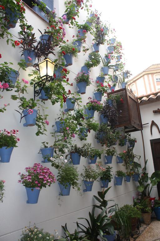 La Posada Del Infante La Puebla de los Infantes Esterno foto